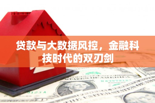 兰山贷款与大数据风控，金融科技时代的双刃剑