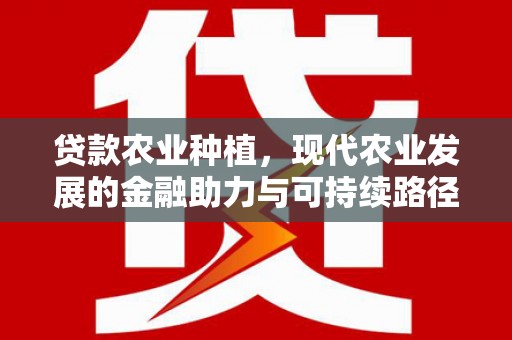 兰山贷款农业种植，现代农业发展的金融助力与可持续路径