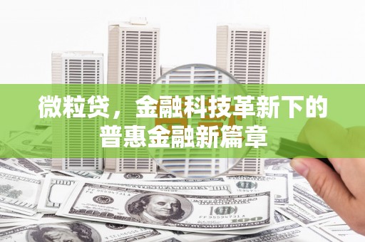 兰山微粒贷，金融科技革新下的普惠金融新篇章