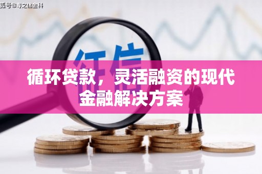 兰山循环贷款，灵活融资的现代金融解决方案