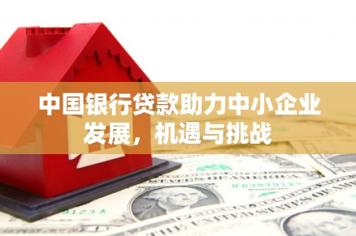 兰山中国银行贷款助力中小企业发展，机遇与挑战