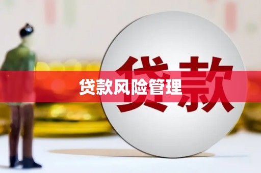 兰山贷款风险管理