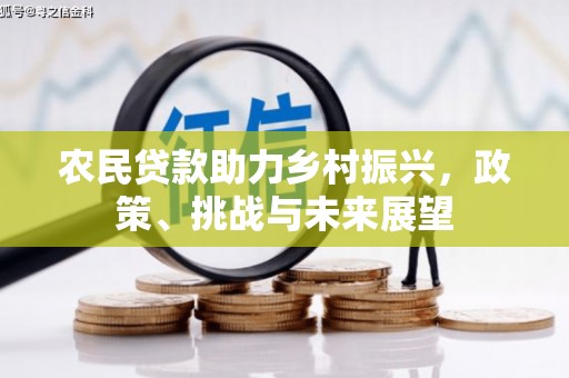兰山农民贷款助力乡村振兴，政策、挑战与未来展望