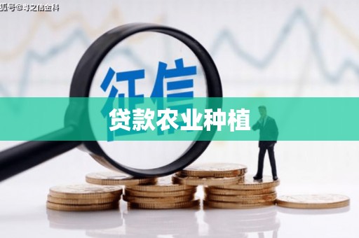 兰山贷款农业种植