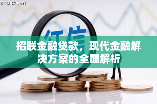 兰山招联金融贷款，现代金融解决方案的全面解析