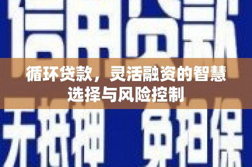 兰山循环贷款，灵活融资的智慧选择与风险控制