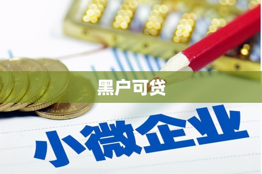 兰山黑户可贷
