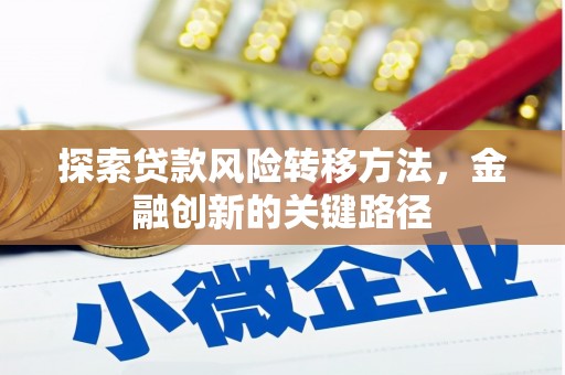 兰山探索贷款风险转移方法，金融创新的关键路径