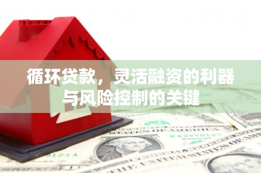 兰山循环贷款，灵活融资的利器与风险控制的关键