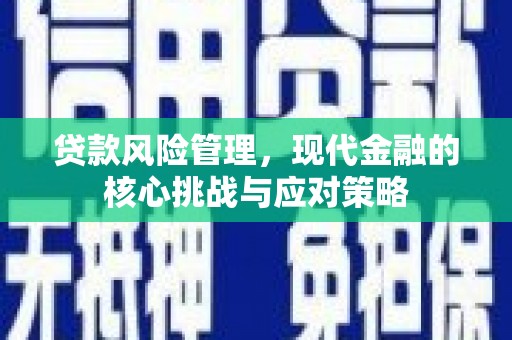 兰山贷款风险管理，现代金融的核心挑战与应对策略
