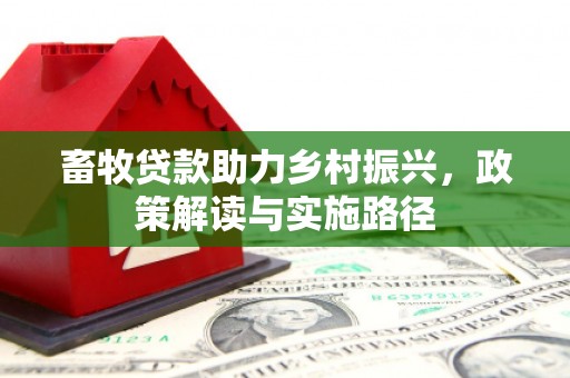 兰山畜牧贷款助力乡村振兴，政策解读与实施路径