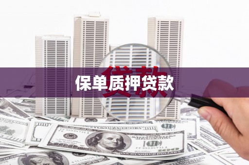 兰山保单质押贷款
