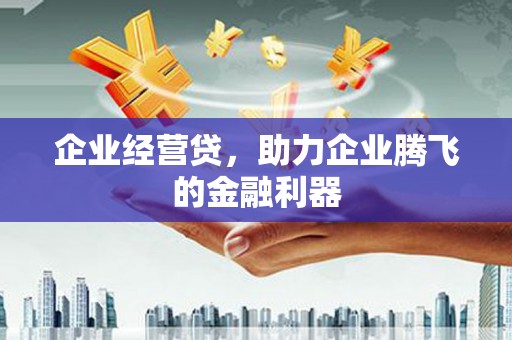 兰山企业经营贷，助力企业腾飞的金融利器