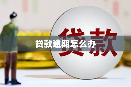 兰山贷款逾期怎么办
