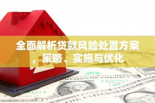 兰山全面解析贷款风险处置方案，策略、实施与优化