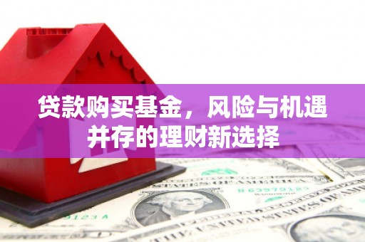 兰山贷款购买基金，风险与机遇并存的理财新选择