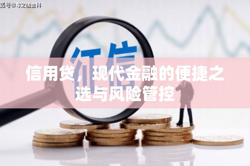 兰山信用贷，现代金融的便捷之选与风险管控