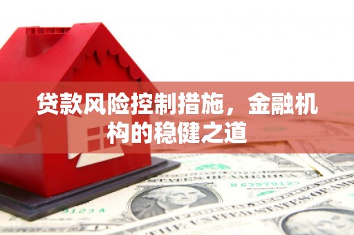 兰山贷款风险控制措施，金融机构的稳健之道