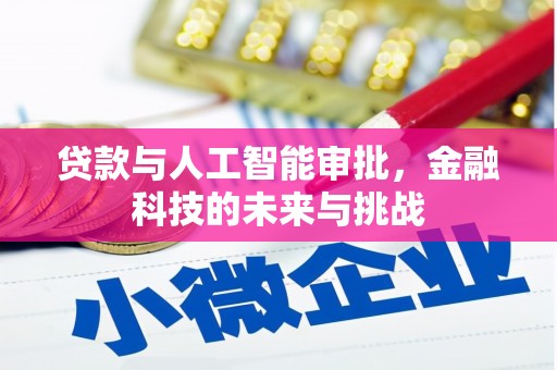 兰山贷款与人工智能审批，金融科技的未来与挑战