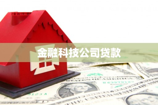 兰山金融科技公司贷款