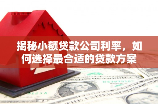兰山揭秘小额贷款公司利率，如何选择最合适的贷款方案