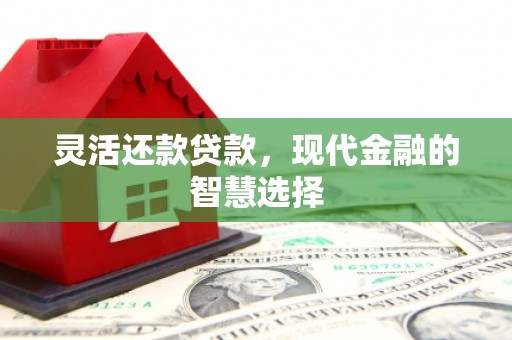 兰山灵活还款贷款，现代金融的智慧选择