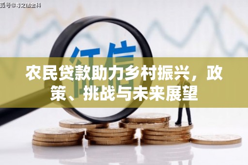 兰山农民贷款助力乡村振兴，政策、挑战与未来展望