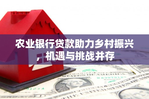 兰山农业银行贷款助力乡村振兴，机遇与挑战并存