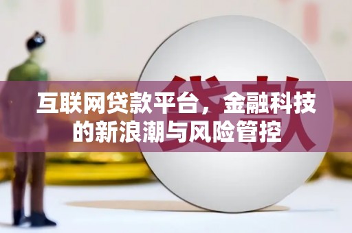 兰山互联网贷款平台，金融科技的新浪潮与风险管控