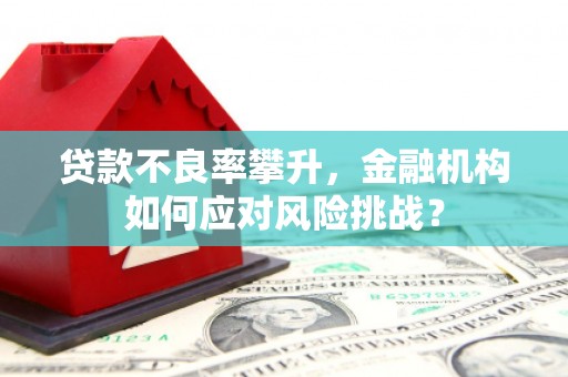 兰山贷款不良率攀升，金融机构如何应对风险挑战？