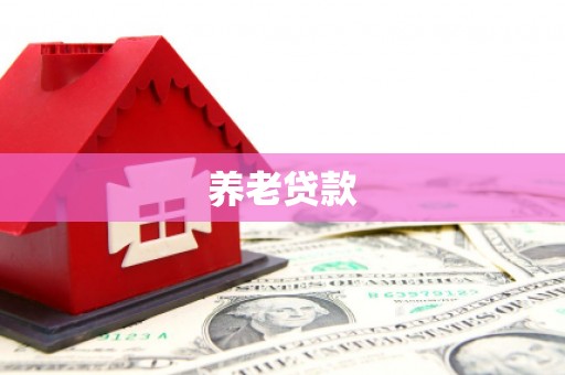 兰山养老贷款