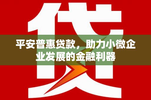 兰山平安普惠贷款，助力小微企业发展的金融利器
