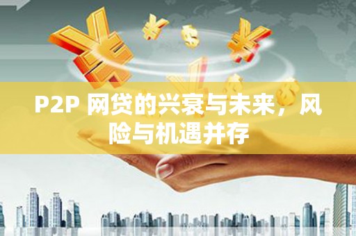 兰山P2P 网贷的兴衰与未来，风险与机遇并存